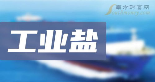2024年 工业盐 概念受益股全梳理 2月1日
