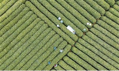 好味道,认准这些地方 探访中国传统优势食品 地图 上