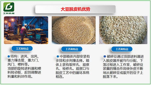 大豆黄豆的工业脱皮方法与步骤