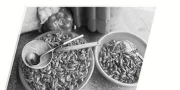 古法秘方背后的隐患 工业盐烤鱼引爆食品安全案